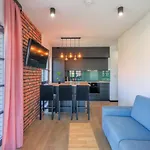 Apartament Gdansk Srodmiescie Z Widokiem Na Motlawe